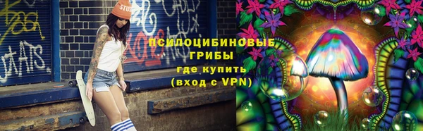 apvp Нягань